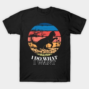 I Do What I Want Cat Lover Sunglasses cat T-Shirt